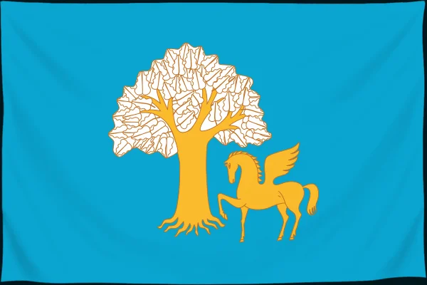 Флаг: Кигинский район